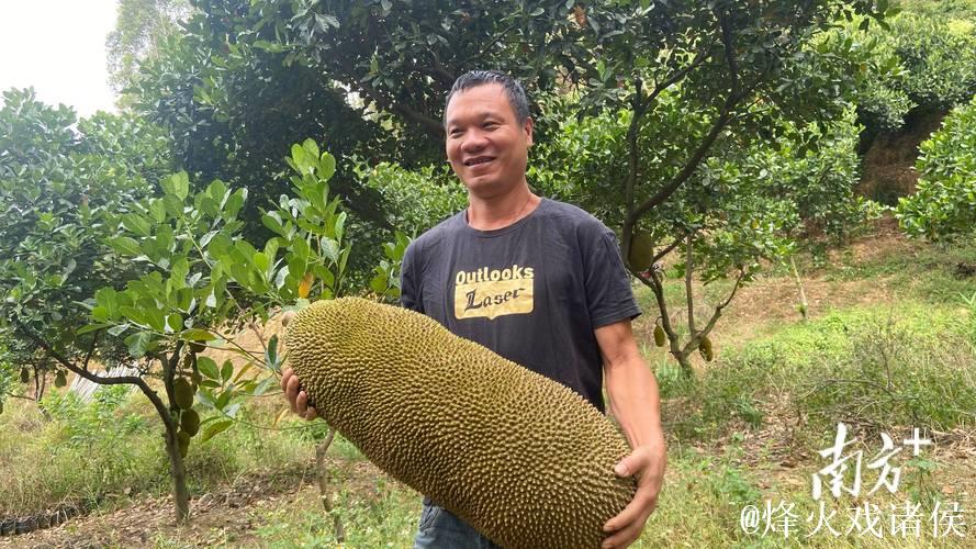 菠萝蜜直播视频解析与精彩瞬间