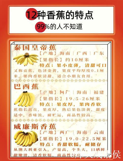 探寻国产香蕉精品魅力之选