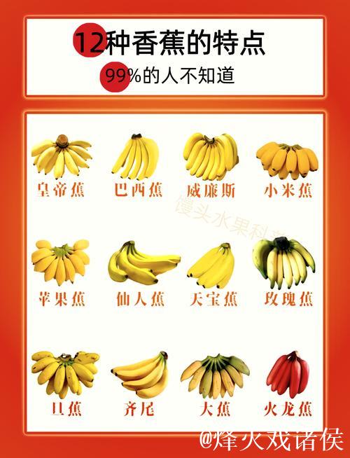 探寻国产香蕉精品魅力之选