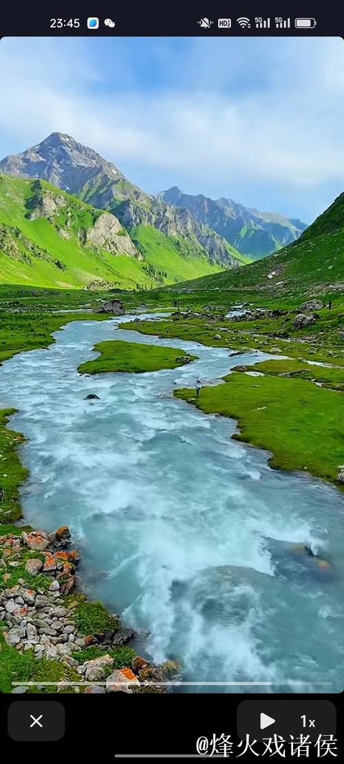 1024手机在线视频