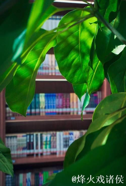 久久热爱，共赴美好时光